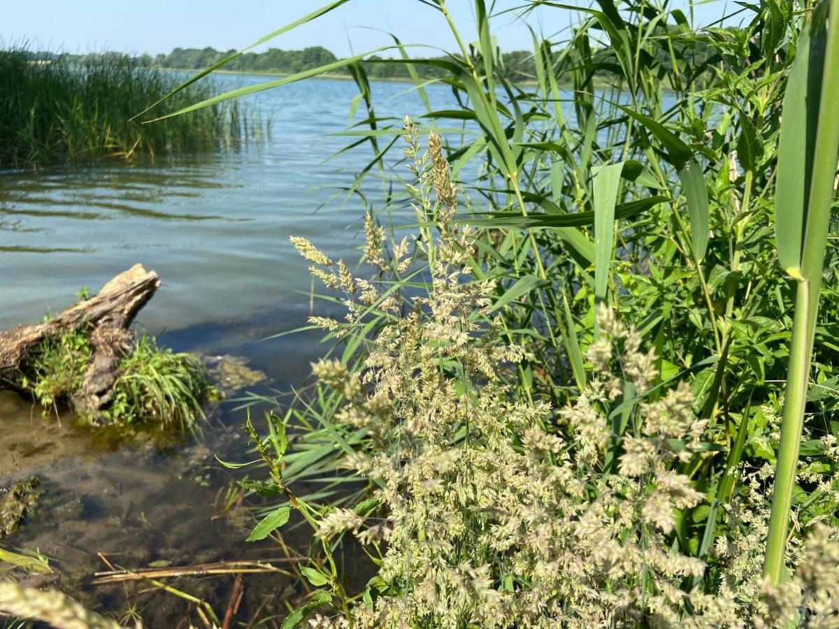 K 357 - Monteurzimmervermittlung und Vermietung Lübeck Ratekau Exterior foto