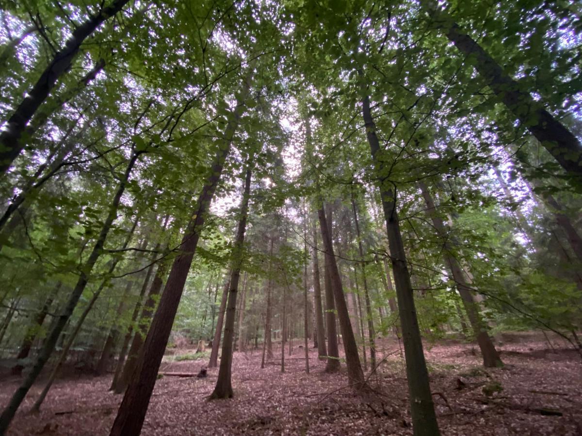 K 357 - Monteurzimmervermittlung und Vermietung Lübeck Ratekau Exterior foto