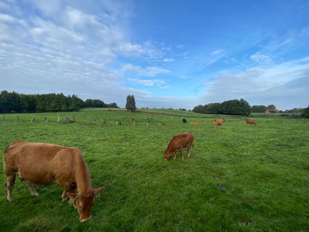K 357 - Monteurzimmervermittlung und Vermietung Lübeck Ratekau Exterior foto